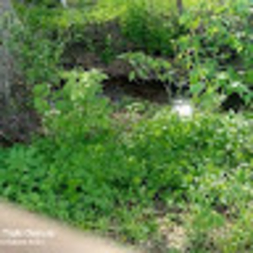 Meet your Posher, Edawg